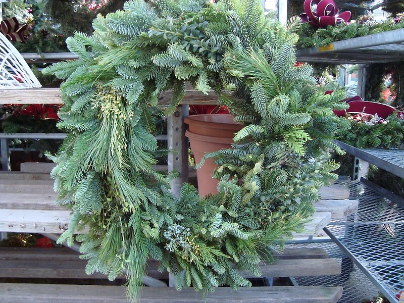 27 arranged by a florist in Wantagh, NY USA Abby's Parkside Nursery