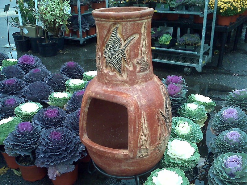 20 arranged by a florist in Wantagh, NY USA Abby's Parkside Nursery