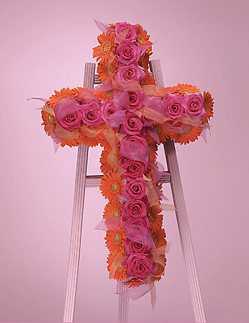 Rose and gerbera cross