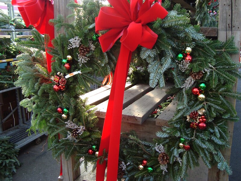 99 arranged by a florist in Wantagh, NY USA Abby's Parkside Nursery