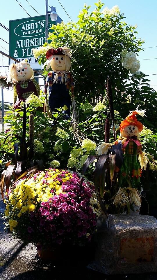 30 arranged by a florist in Wantagh, NY USA Abby's Parkside Nursery