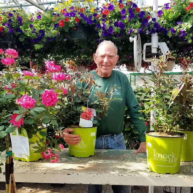 142 arranged by a florist in Wantagh, NY USA Abby's Parkside Nursery