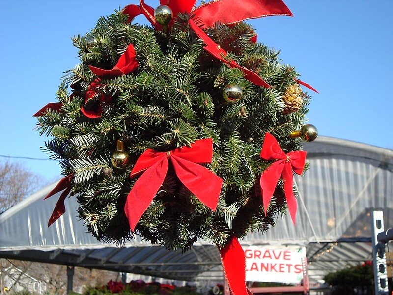50 arranged by a florist in Wantagh, NY USA Abby's Parkside Nursery