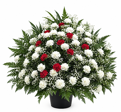 Carnation Arrangement