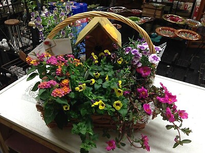 Mixed plant baskets