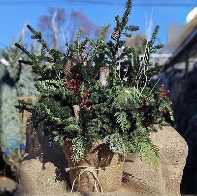 Christmas Holiday Planter