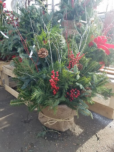 Christmas holiday planter