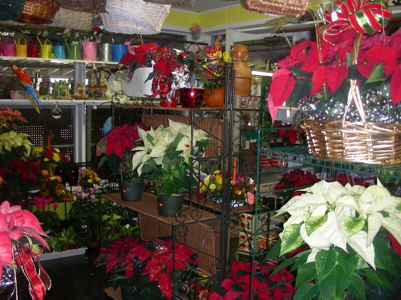 179 arranged by a florist in Wantagh, NY USA Abby's Parkside Nursery