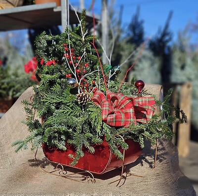 Christmas Sled Large