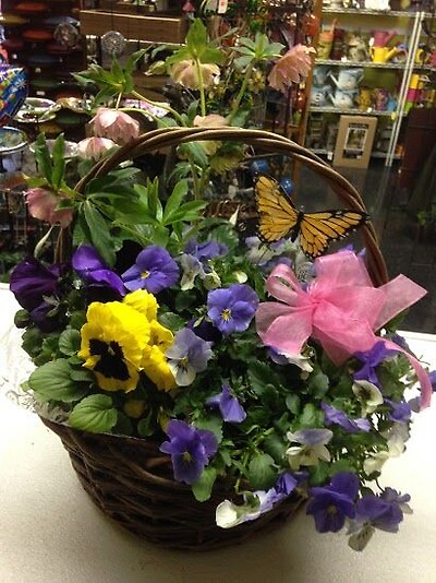 Mixed plant baskets