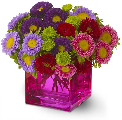 Asters bouquet