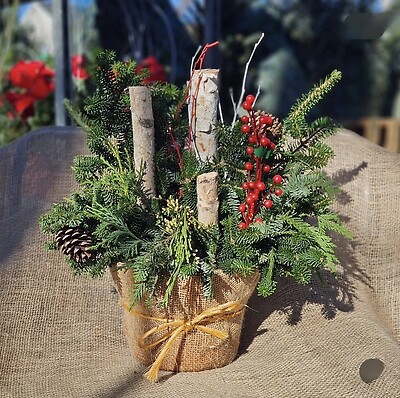 Christmas holiday planter