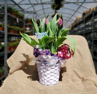 Easter basket